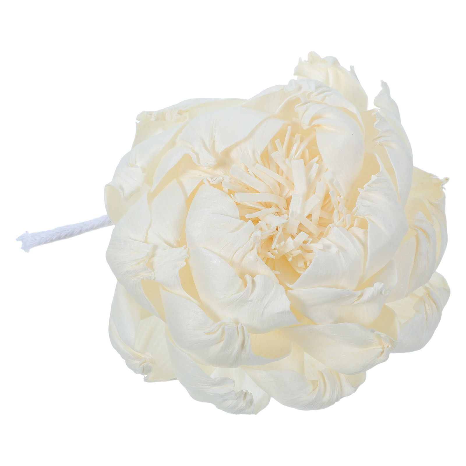 Diffuseur de parfum tête de pi - Home Fragrance Oils avis et prix