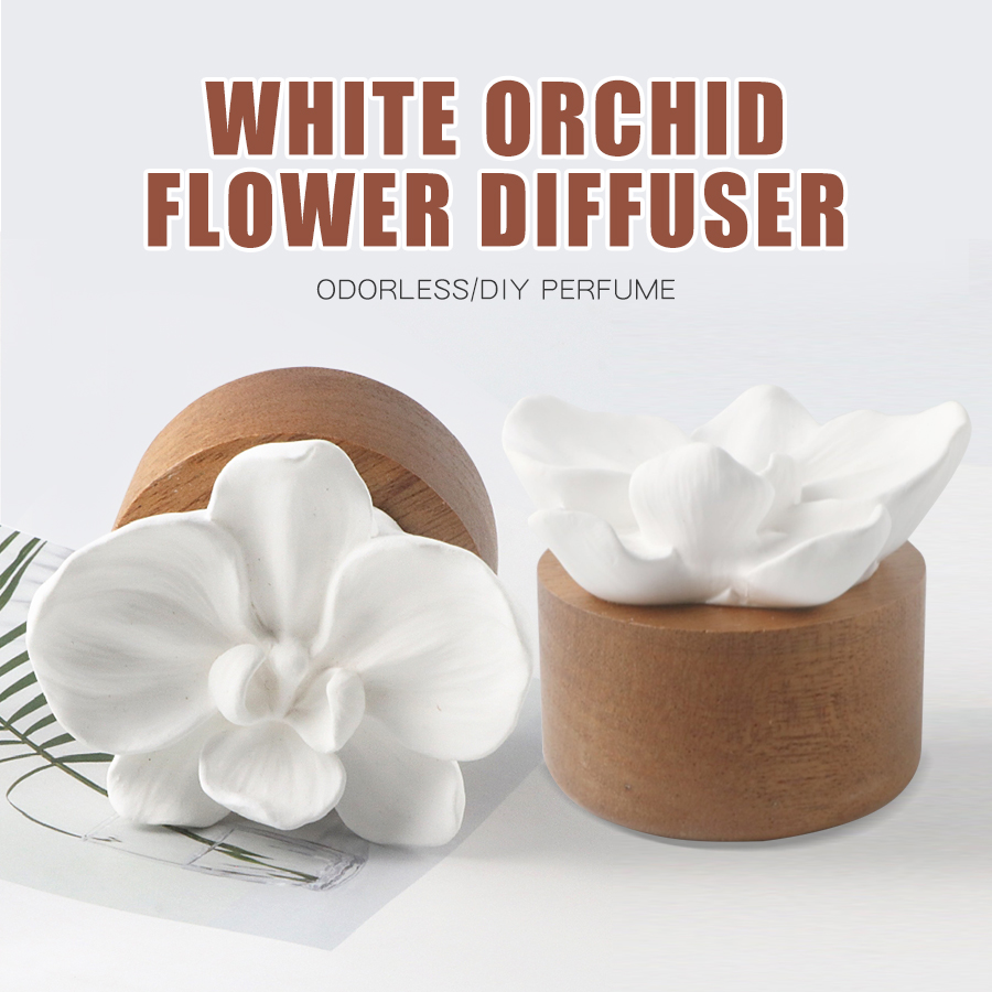 Diffuseur d'Arôme de Fleurs sa - Home Fragrance Aesop avis et prix